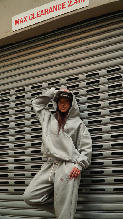 IOPA Ascend Hoodie (Grey)